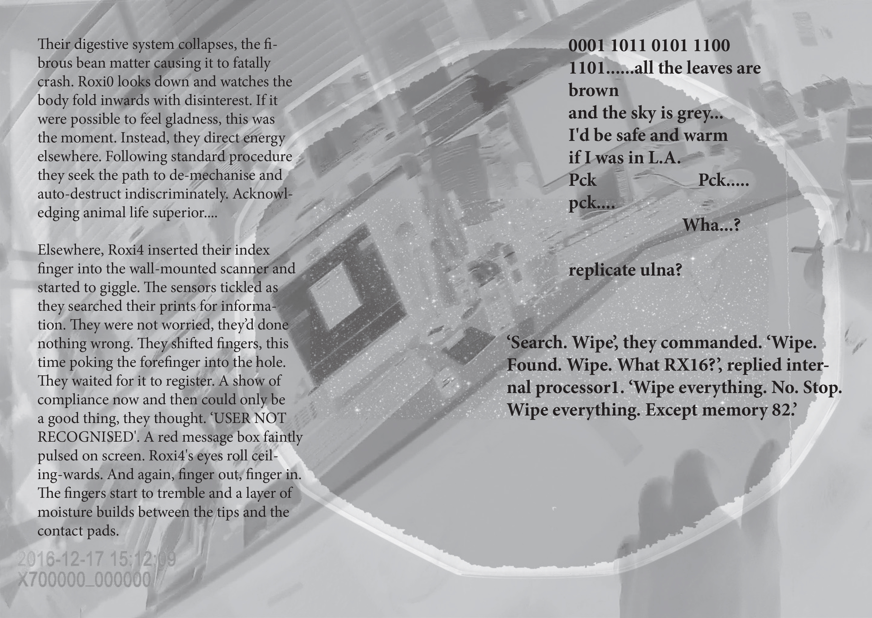 bean count web page 02