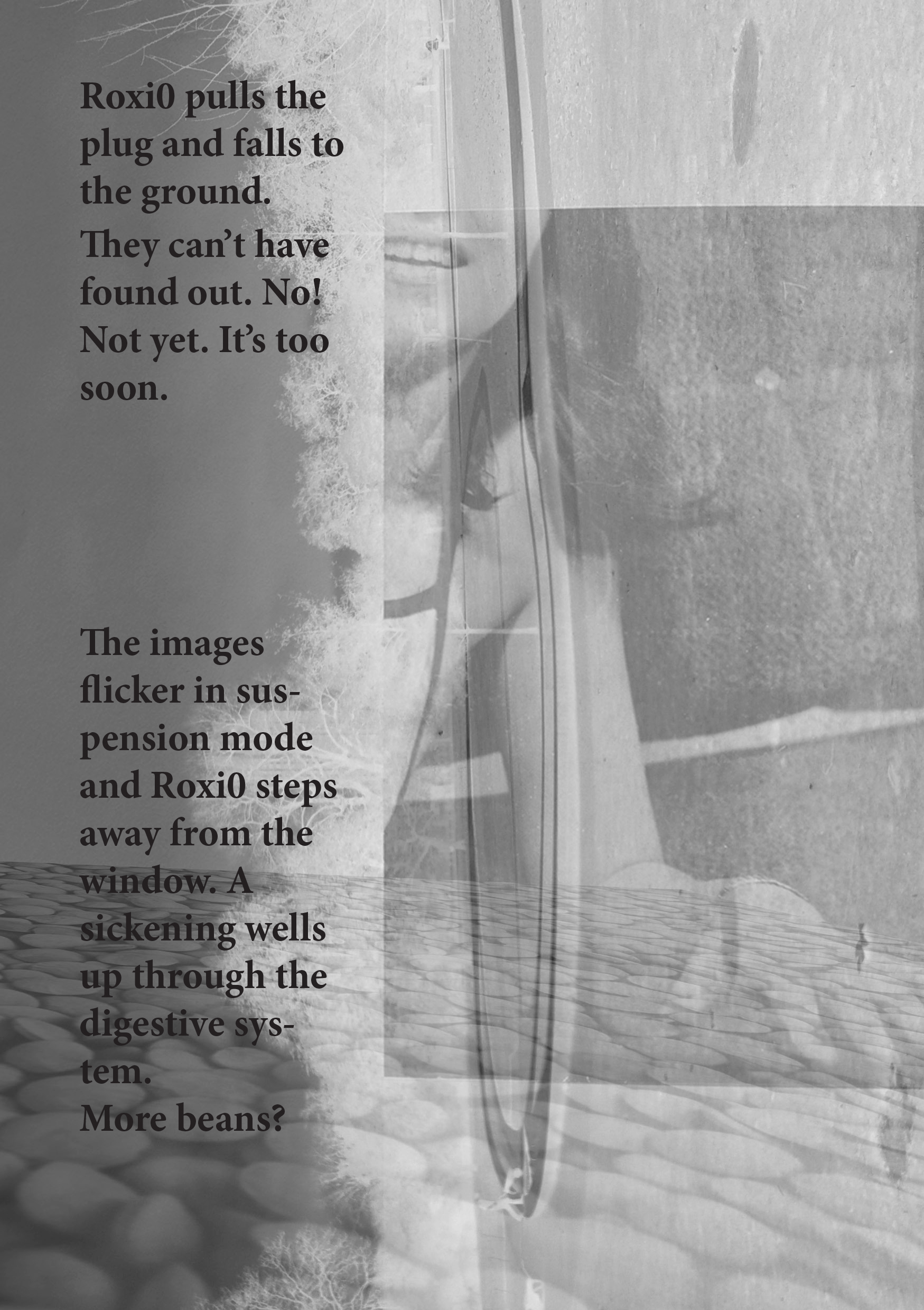 bean count web page 03